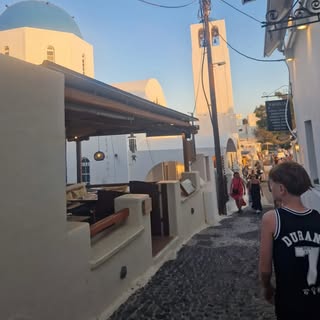 teddy_jr.69